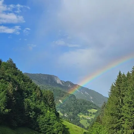 Im Nationalpark Kalkalpen 3 * Reichraming