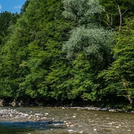 Im Nationalpark Kalkalpen 3 *