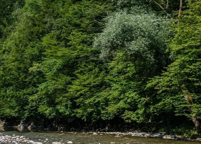 Im Nationalpark Kalkalpen 3 *